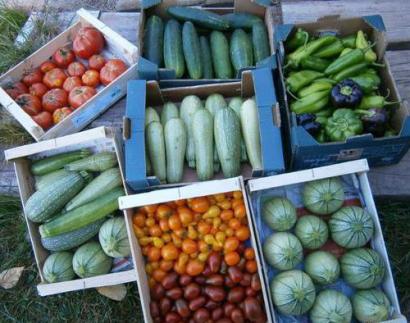 Marché