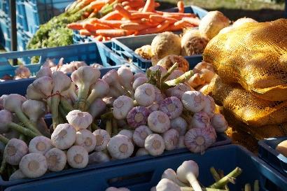 MARCHÉ DES SAISONS