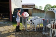 Visite de ferme
