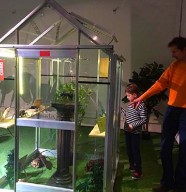 Fourmis � la loupe