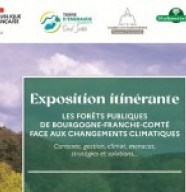 Les for�ts face aux changements climatiques