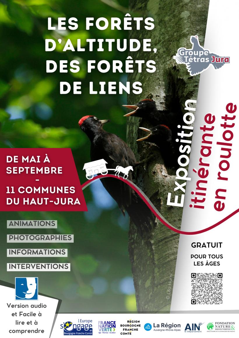 Les for�ts d'altitude, des for�ts de liens