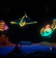 Sale temps en eaux troubles