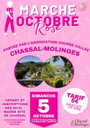 Marche Octobre Rose