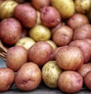 Bricolage de No�l : Tampons en pomme de terre et l�gumes