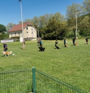 Concours Ob�issance canine