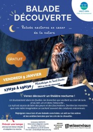 Balade nocturne au coeur de la nature