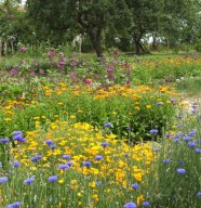 Visite de L'Atelier Sauvage