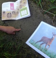 Sortie nature : Apprentis pisteurs