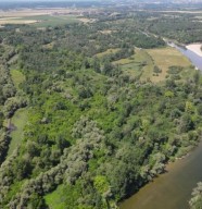 Sortie nature : D�couverte de la r�serve