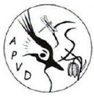 Chantier de lutte - Solidage et aster