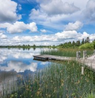 Randonn�e ornithologique