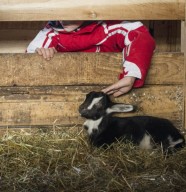 Atelier petits fermiers