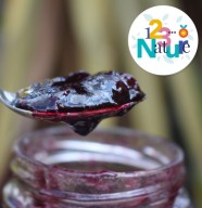 atelier cuisine : R�ussir ses gel�es