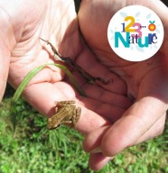 Sortie nature : Les petites b�tes de l'eau