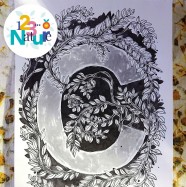 atelier : d�couverte des encres ferro-galliques