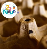 atelier : Cartes en papier recycl�