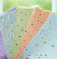 Atelier cr�atif : Fabrication de cartes � planter