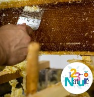 atelier : Extraction de miel