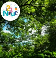 Sortie nature : Promenons-nous dans les bois !
