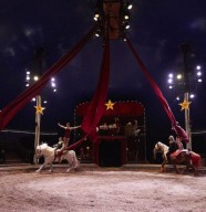 Stage Cirque et voltige �questre de spectacle