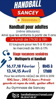 Stage multisports et handball