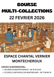 BOURSE MULTI-COLLECTIONS