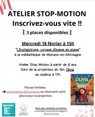 Atelier Stop motion : l'enchantrope, voyage d'image en image