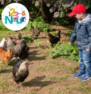 visite : balade � la ferme