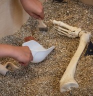 Visite de l'&cclesia et atelier de fouille arch�ologique