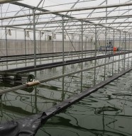 Visite : ferme spiruline et m�thanisation