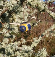 Fabriquez vos insectes pollinisateurs