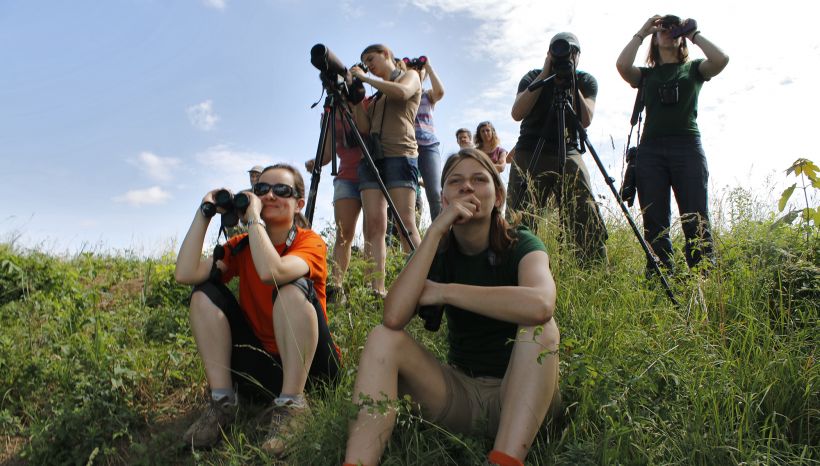 Sortie nature : Observation et baguage des oiseaux hivernants