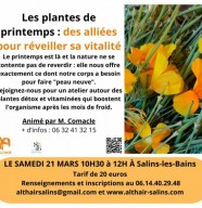 Les Plantes de printemps