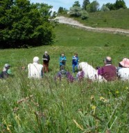 La Caravane Musicale - Randonn�e po�tique et musicale