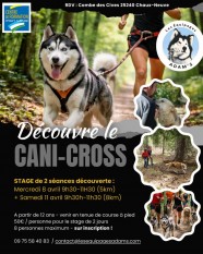 Stage de cani-cross