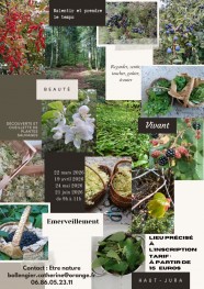 Sortie D�couverte & Cueillette de Plantes Sauvages