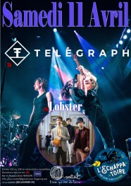 LOBSTER + TELEGRAPH