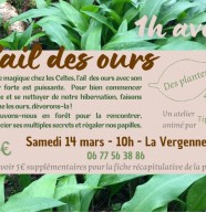 1 heure avec l'ail des ours