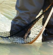 Initiation � la p�che