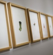 Atelier : Un dessin comme Jean-Luc Bari