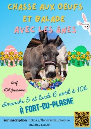 Chasse aux oeufs avec les �nes et les animaux de la mini-ferme