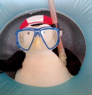 Lecturbulences : Rendez-vous contes � la piscine !