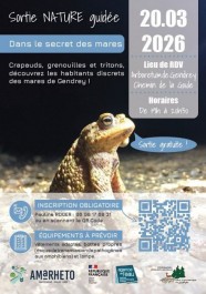 Sortie nature : Dans le secret des mares