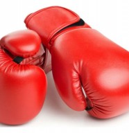 Championnat de France UNSS de boxe �ducative