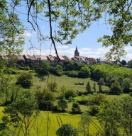 Balade et D�gustation dans les vignes