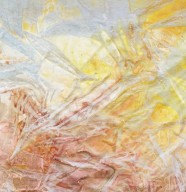 Visite comment�e de l'exposition de Ma�lys Girodon