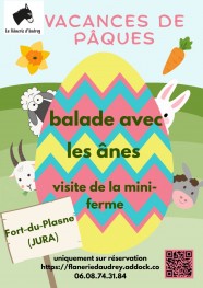 Balade accompagn�e avec les �nes