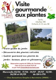 Visite gourmande aux plantes