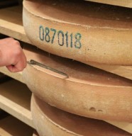 Visite de la Fruiti�re � Comt�